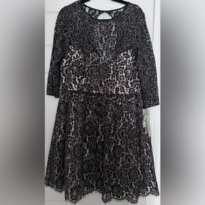 black and ivory net Eliza J dress-Size 14